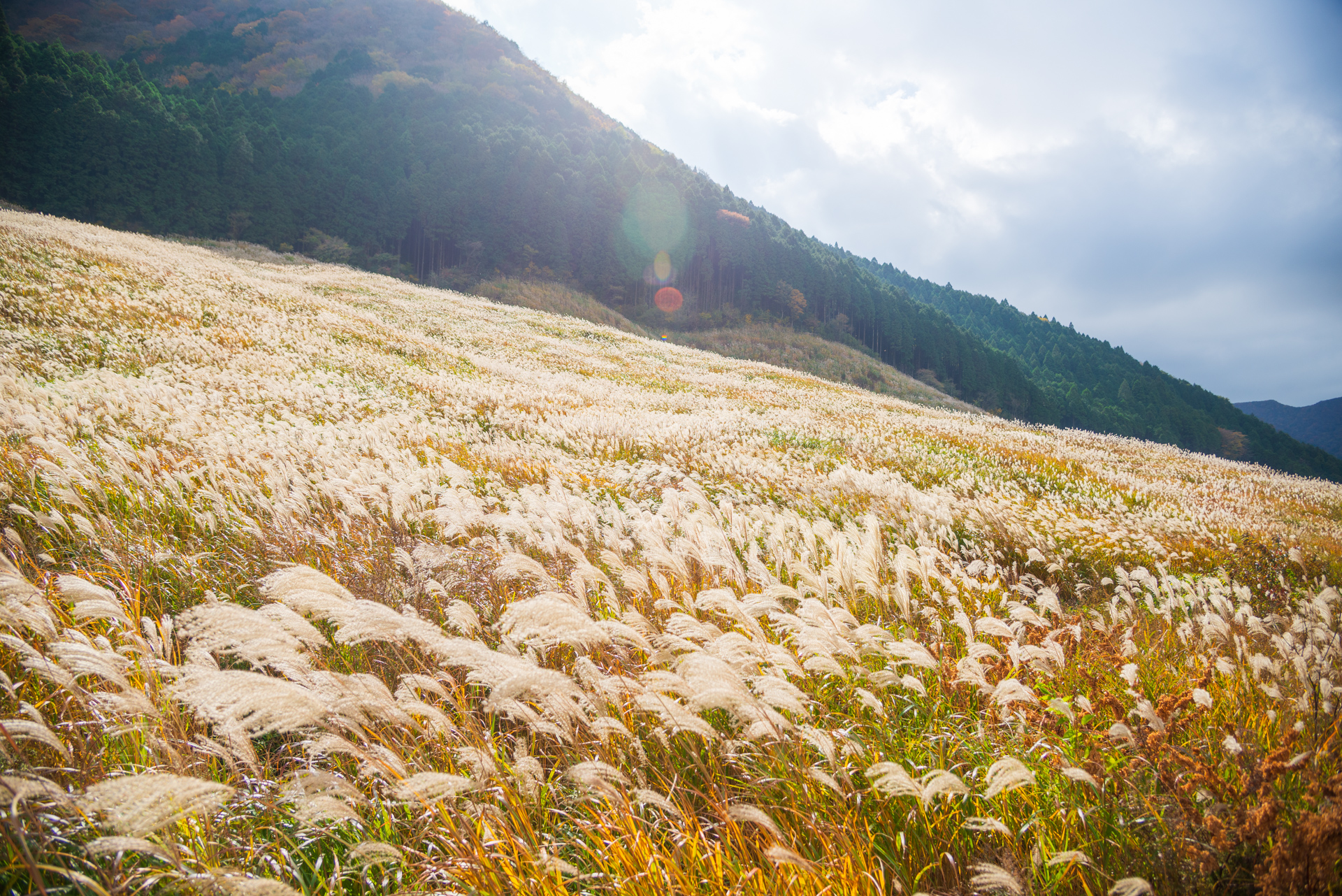 Landscape 2