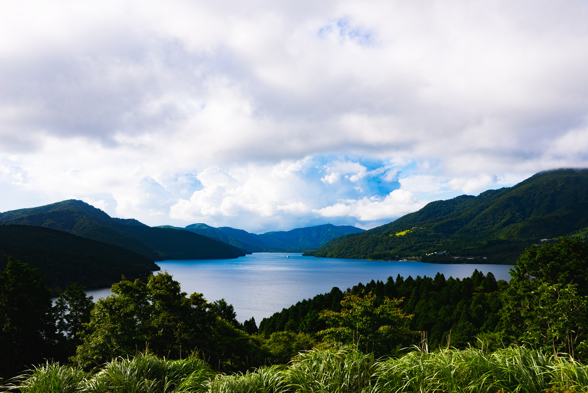 Landscape 3
