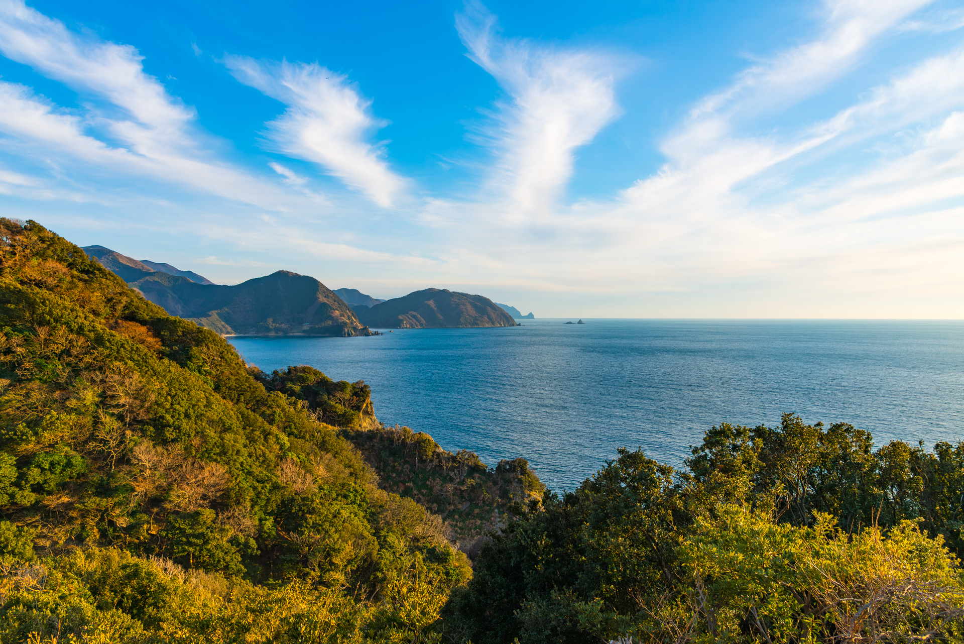 Landscape 5
