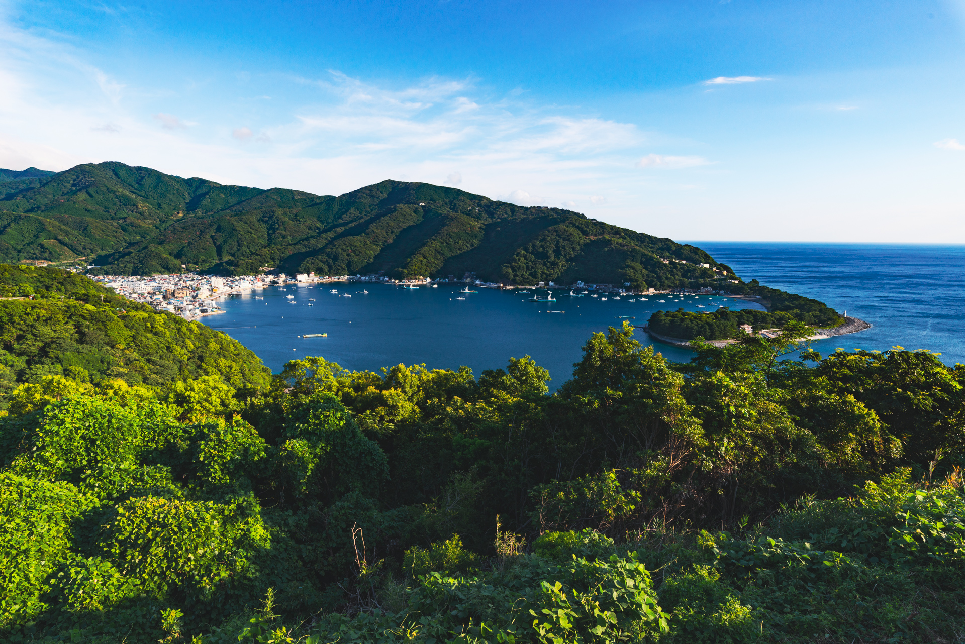 Landscape 8